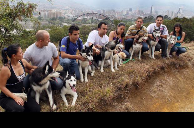 Manuel Saldarriaga - Fundaci&#243;n Amigos de los Siberian Husky y Alaskan Malamute en Colombia.