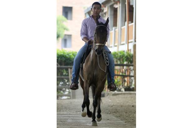 Robinson S&#225;enz - Caballo criollo colombiano, trot&#243;n.