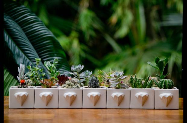 Habibi Plantitas - Materas con significado. Los diamantes: riqueza, prosperidad y amor.