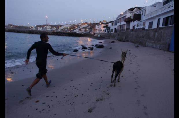 Reuters - El surfista peruano Domingo Pianezzi desaf�a las olas con su alpaca Pisco.
