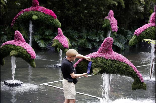 FOTO EL COLOMBIANO - El Jardín Botánico Joaquín Antonio Uribe es un espacio de encuentro natural en medio de la ciudad, ideal para el conocimiento, el descanso y la relajación. Declarado Patrimonio Cultural de Medellín, es uno de los más bellos sitios de Antioquia, el país y el mundo dedicados a la botánica.