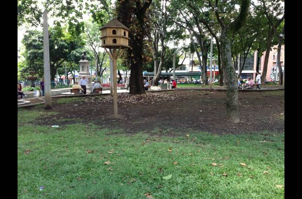 - El Parque de Bel&#233;n perdi&#243; su jard&#237;n porque fue comido por las palomas que habitan en el sector.