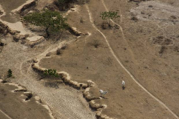 Foto: Luisa Gonz&#225;lez - Colprensa - La afectaci&#243;n de los p&#225;ramos ser&#237;a la primera causa. Los r&#237;os y cuerpos de agua de Paz de Ariporo, y en general los del departamento del Casanare, se alimentan o nacen en la Cordillera Oriental, principalmente en el p&#225;ramo del Cocuy.