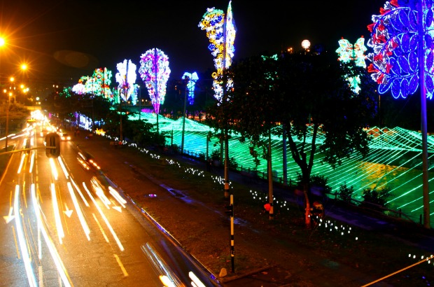 Juan Sebasti&#225;n Carvajal Beltr&#225;n - Naturaleza, vida y luz es el nombre del alumbrado navide&#241;o de 2012.