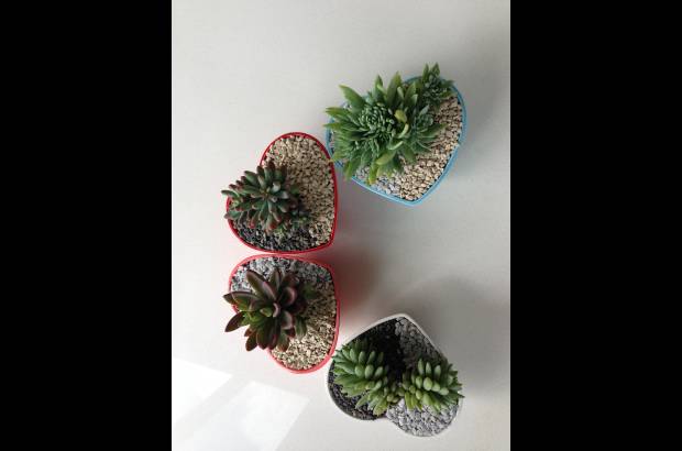 Verde Menta - Todos los materiales sirven como recipiente.