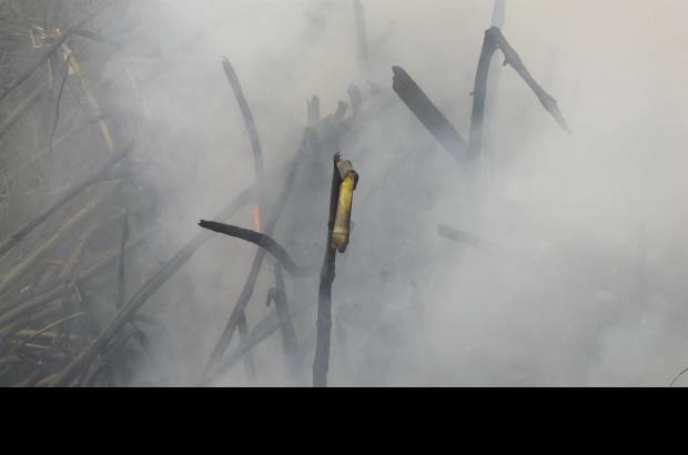 Santiago Olivares Tob&#243;n - La falta de hidrantes fue una de las dificultades que tuvieron que enfrentar los bomberos.