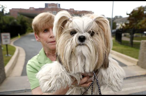 Reuters - Shellie Goldstein de Maryland, Estados Unidos sostiene a su Shih Tzu Emma, perro de terapia. Esta semana tuvieron problemas para entrar a los hospitales por un pago que no realiz&#243; el gobierno federal.