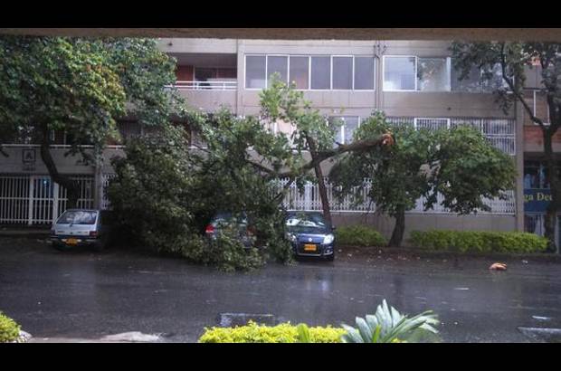 Cortes&#237;a @Christo_Cardona - En la Villa de Aburr&#225;, al occidente de Medell&#237;n, un &#225;rbol que cay&#243; afect&#243; varios veh&#237;culos.
