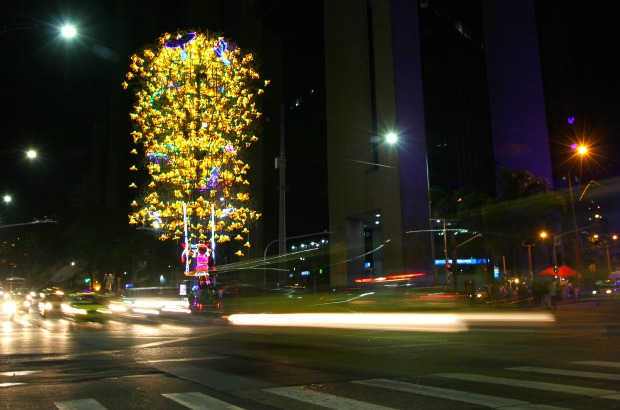 Juan Sebasti&#225;n Carvajal Beltr&#225;n - Un guayac&#225;n de 24 metros de alto llena de luz la Avenida Oriental con La Playa.