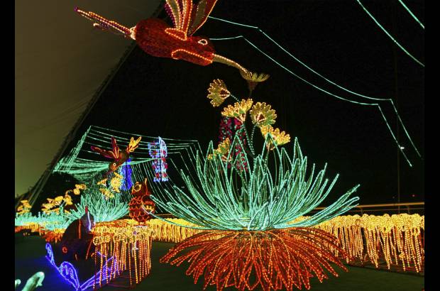 Juan Sebasti&#225;n Carvajal Beltr&#225;n - La diversidad y la riqueza de la fauna y flora del departamento de Antioquia son protagonistas del espect&#225;culo de luz.