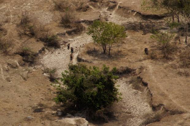 Foto: Luisa Gonz&#225;lez - Colprensa - Aunque no se conoce a ciencia cierta qu&#233; cantidad de agua hay bajo los suelos del Casanare, ni de Paz de Ariporo, las actividades de exploraci&#243;n y explotaci&#243;n de hidrocarburos requieren de un caudal permanente para su funcionamiento.