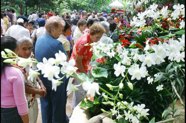FOTO EL COLOMBIANO - El Jardín Botánico Joaquín Antonio Uribe es un espacio de encuentro natural en medio de la ciudad, ideal para el conocimiento, el descanso y la relajación. Declarado Patrimonio Cultural de Medellín, es uno de los más bellos sitios de Antioquia, el país y el mundo dedicados a la botánica.