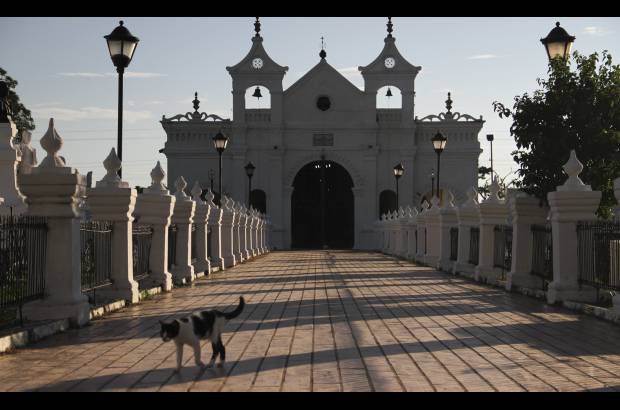 Mario Franco-Colprensa - El Cementerio Municipal de Mompox, Bol&#237;var, es un lugar fascinante que a lo largo de los a&#241;os ha tenido un apacible deterioro, en sus tumbas se pueden encontrar l&#225;pidas que datan del a&#241;o 1831. El descanso eterno de sus hu&#233;spedes es singularmente cuidado por gatos, felinos que se pasean por las tumbas en lo que parecieran rondas de estricta vigilancia.