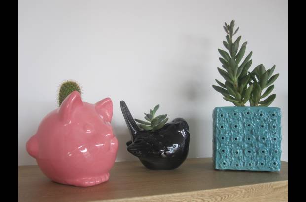 Verde Menta - También son tendencia gatos y aves.