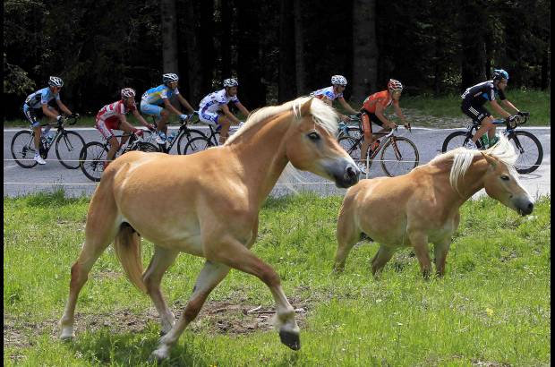 Reuters - El Giro de Italia termina el domingo en Mil&#225;n.