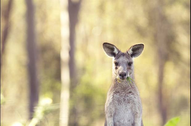Josie Eldred, Australia. 2015 Sony World Photography awards - En la categor&#237;a de Estudiantes se espera que los j&#243;venes env&#237;en fotograf&#237;as que simbolicen la cultura contemporaneo del consumo.