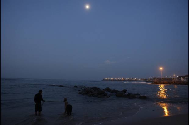 Reuters - Un anochecer en las playas de Lima, Per�. Domingo Pianezzi enfrenta su pasi�n, el mar, al lado de su alpaca.