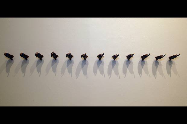 Fotos JAIME P&#201;REZ - La entrada para ver esta exhibici&#243;n es gratuita.