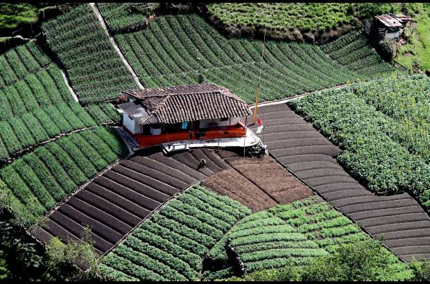 Foto: archivo El Colombiano - El campo se une a la ciudad en las casas tradicionales que aún permanecen en las afueras.