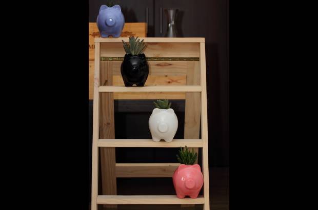 Verde Menta - Los cerditos son animales muy propios de estos diseños.