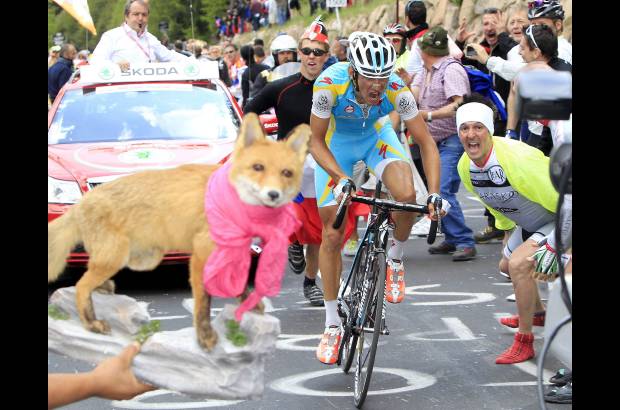 Reuters - Solo hubo batalla al final del Alpe di Pampeago. Mientras Kreuziger, que se estren&#243; en una grande a los 26 a&#241;os, se iba solo a por la victoria, suavizando su fracaso de no luchar por el triunfo final.