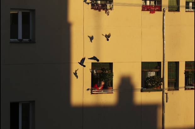 RE - Un hombre mira por la ventana despu&#233;s de alimentar a las palomas en pleno centro de Madrid