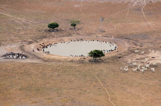 Foto: Luisa Gonz&#225;lez - Colprensa - A pesar de ser una zona donde llueve mucho en un periodo, el problema est&#225; en los suelos, que tienen una baja capacidad de retenci&#243;n de humedad.