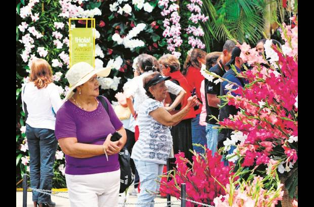 FOTO EL COLOMBIANO - El Jardín Botánico Joaquín Antonio Uribe es un espacio de encuentro natural en medio de la ciudad, ideal para el conocimiento, el descanso y la relajación. Declarado Patrimonio Cultural de Medellín, es uno de los más bellos sitios de Antioquia, el país y el mundo dedicados a la botánica.