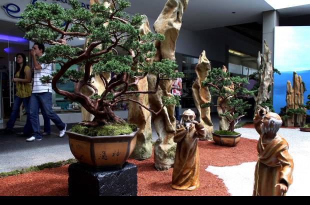 Manuel Saldarriaga - La XIV Exposici&#243;n de Bons&#225;i en el centro comercial Sandiego inici&#243; este 22 de julio e ir&#225; hasta el 7 de agosto.