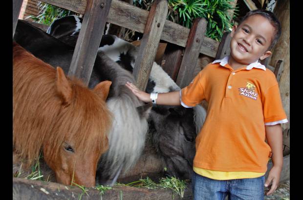 David Sánchez Mejía - La interacción con los animales es uno de los mayores atractivos del parque los niños pueden darle comida a los animales e incluso tetero a los pequeños.