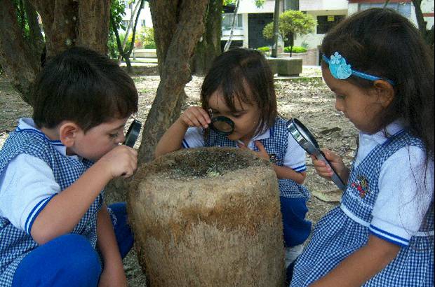 - Las batas, lupas, microscopios, tubos de ensayo, frascos y balanzas son herramientas que se pueden usar en un laboratorio de investigaci&#243;n preescolar.