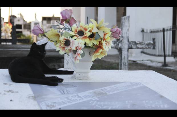 Mario Franco-Colprensa - El Cementerio Municipal de Mompox, Bol&#237;var, es un lugar fascinante que a lo largo de los a&#241;os ha tenido un apacible deterioro, en sus tumbas se pueden encontrar l&#225;pidas que datan del a&#241;o 1831. El descanso eterno de sus hu&#233;spedes es singularmente cuidado por gatos, felinos que se pasean por las tumbas en lo que parecieran rondas de estricta vigilancia.
