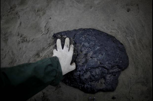 AP - La marea negra ya lleg&#243; a la playa de Mt Maunganui, al igual que en la isla Matakana, as&#237; como al puerto de Tauranga, en la Isla Norte.