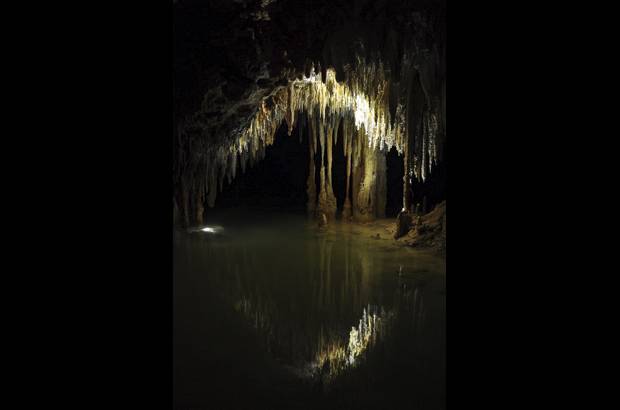 Cortes&#237;a - La principal atracci&#243;n de esta reserva mexicana es una caverna subterr&#225;nea con una milenaria formaci&#243;n geol&#243;gica.