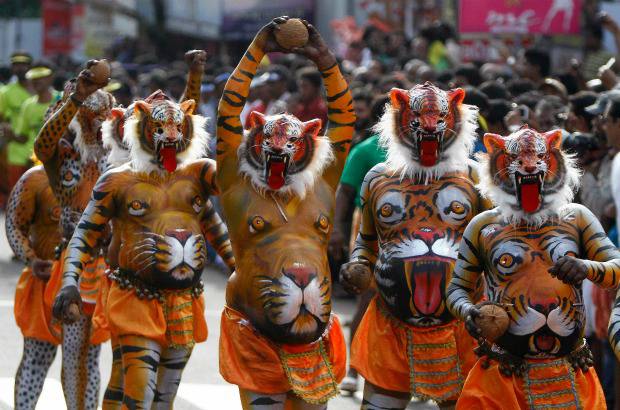 REUTERS - Onam es un festival anual hind&#250; celebrado en Kerala, India, dedicado a la cosecha y que se realiza durante el mes de Chingam (Agosto-Septiembre). Una de sus festividades es el Pulikali o la danza del tigre. Los bailarines, entre ellos algunos ni&#241;os, pintan sus cuerpos con la imagen del felino m&#225;s grande del mundo, en una expresi&#243;n cultural que gira en torno al tema de la caza del animal.