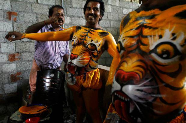 REUTERS - Onam es un festival anual hind&#250; celebrado en Kerala, India, dedicado a la cosecha y que se realiza durante el mes de Chingam (Agosto-Septiembre). Una de sus festividades es el Pulikali o la danza del tigre. Los bailarines, entre ellos algunos ni&#241;os, pintan sus cuerpos con la imagen del felino m&#225;s grande del mundo, en una expresi&#243;n cultural que gira en torno al tema de la caza del animal.