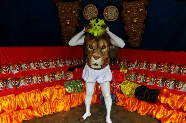 REUTERS - Onam es un festival anual hind&#250; celebrado en Kerala, India, dedicado a la cosecha y que se realiza durante el mes de Chingam (Agosto-Septiembre). Una de sus festividades es el Pulikali o la danza del tigre. Los bailarines, entre ellos algunos ni&#241;os, pintan sus cuerpos con la imagen del felino m&#225;s grande del mundo, en una expresi&#243;n cultural que gira en torno al tema de la caza del animal.