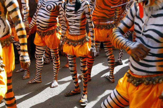 REUTERS - Onam es un festival anual hind&#250; celebrado en Kerala, India, dedicado a la cosecha y que se realiza durante el mes de Chingam (Agosto-Septiembre). Una de sus festividades es el Pulikali o la danza del tigre. Los bailarines, entre ellos algunos ni&#241;os, pintan sus cuerpos con la imagen del felino m&#225;s grande del mundo, en una expresi&#243;n cultural que gira en torno al tema de la caza del animal.