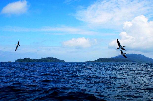FOTO MANUEL SALDARRIAGA - Declarada Patrimonio de la Humanidad por la Unesco, la isla Gorgona cuenta con 155 especies de aves, 41 de reptiles y 17 de mamíferos.