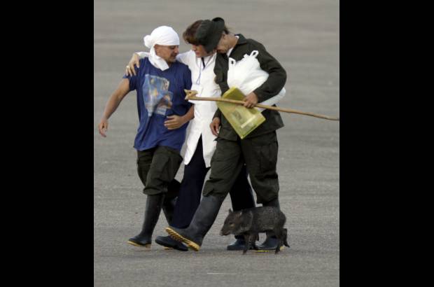 Raúl Palacios, enviado especial Colprensa - José Libardo y Carlos Duarte se mostraron emocionados. El saíno fue uno de los animales que los uniformados trajeron de la selva.