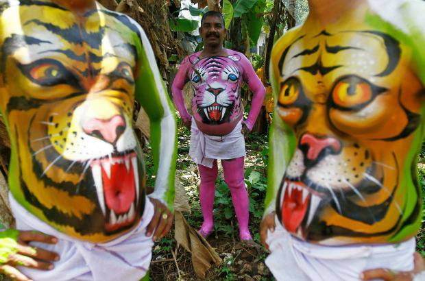 REUTERS - Onam es un festival anual hind&#250; celebrado en Kerala, India, dedicado a la cosecha y que se realiza durante el mes de Chingam (Agosto-Septiembre). Una de sus festividades es el Pulikali o la danza del tigre. Los bailarines, entre ellos algunos ni&#241;os, pintan sus cuerpos con la imagen del felino m&#225;s grande del mundo, en una expresi&#243;n cultural que gira en torno al tema de la caza del animal.