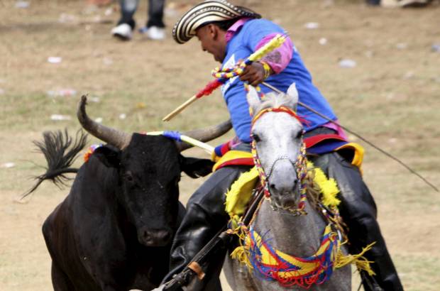 Reuters - Las organizaciones defensoras de los animales buscan que las leyes nacionales proh&#237;ban las corridas de toros, las corralejas, las peleas de gallos y cualquier otra forma de maltrato animal pero hasta el momento son muy pocos los avances alcanzados en su protecci&#243;n.