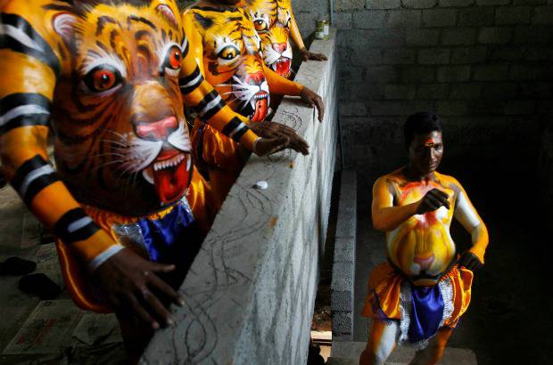 REUTERS - Onam es un festival anual hind&#250; celebrado en Kerala, India, dedicado a la cosecha y que se realiza durante el mes de Chingam (Agosto-Septiembre). Una de sus festividades es el Pulikali o la danza del tigre. Los bailarines, entre ellos algunos ni&#241;os, pintan sus cuerpos con la imagen del felino m&#225;s grande del mundo, en una expresi&#243;n cultural que gira en torno al tema de la caza del animal.