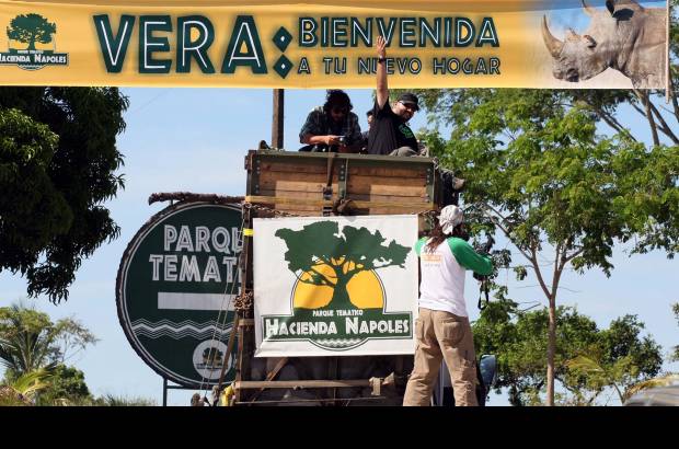 Jaime P&#233;rez - La rinoceronte Vera fue recibicida con todos los honores en su nuevo hogar: el parque tem&#225;tico Hacienda N&#225;poles, ubicado en el municipio de Puerto Triunfo, Magadalena Medio antioque&#241;o.