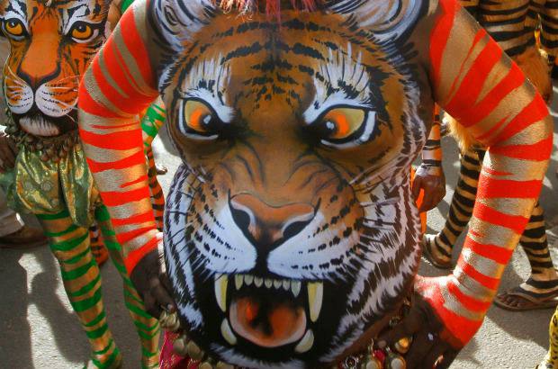 REUTERS - Onam es un festival anual hind&#250; celebrado en Kerala, India, dedicado a la cosecha y que se realiza durante el mes de Chingam (Agosto-Septiembre). Una de sus festividades es el Pulikali o la danza del tigre. Los bailarines, entre ellos algunos ni&#241;os, pintan sus cuerpos con la imagen del felino m&#225;s grande del mundo, en una expresi&#243;n cultural que gira en torno al tema de la caza del animal.