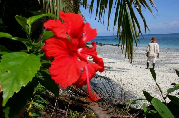 FOTO MANUEL SALDARRIAGA - Declarada Patrimonio de la Humanidad por la Unesco, la isla Gorgona cuenta con 155 especies de aves, 41 de reptiles y 17 de mamíferos.