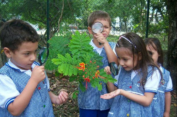 - Si aparece un insecto o una planta florece es la oportunidad para mostrar su conformaci&#243;n a los chicos y chicas de preescolar. Con ayuda de las lupas pueden saber cu&#225;ntas patitas tiene una ara&#241;a o contar lo p&#233;talos de una flor.
