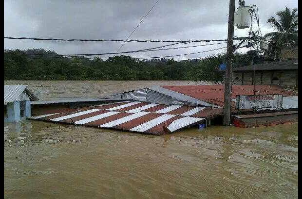 Cortes&#237;a Codechoc&#243; -
