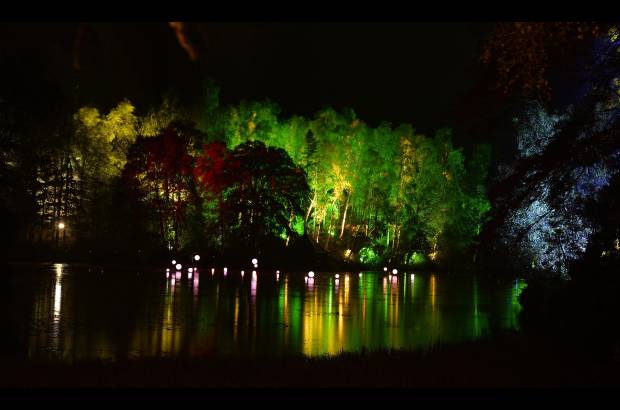 Reuters - Espect&#225;culo de luz en Escocia. Se trata del bosque encantado, todas las noches hay sonido y show de luces.
