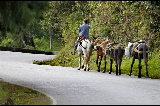 Juan Antonio S&#225;nchez - Esta ruta, que por muchos llev&#243; a las regiones de Occidente y Urab&#225;, fue pr&#225;cticamente abandonada cuando empez&#243; a funcionar el T&#250;nel. S&#243;lo el a&#241;o pasado se recuper&#243; la v&#237;a.